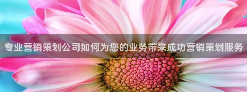必赢手机版网站多少