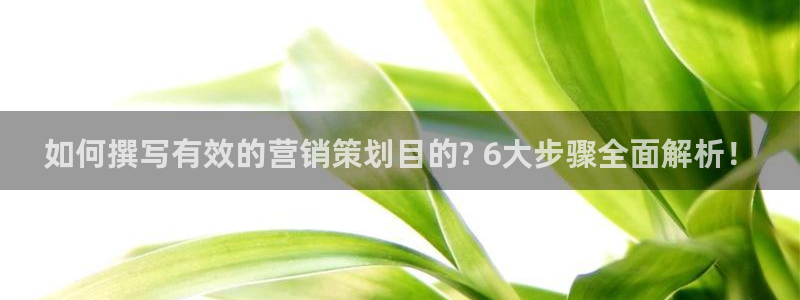 必赢公司是怎样的一家企业