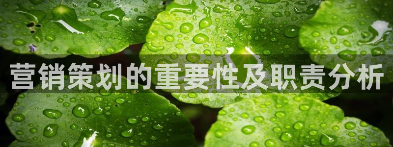 必赢网站是多少啊