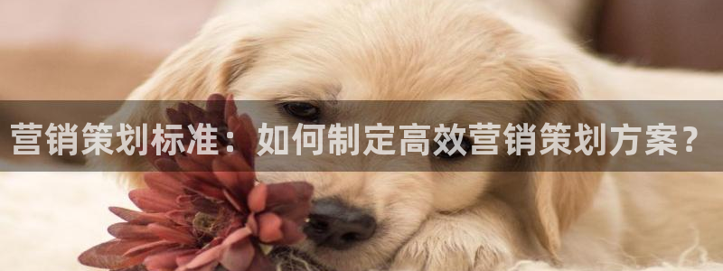 必赢棋盘app下载官网