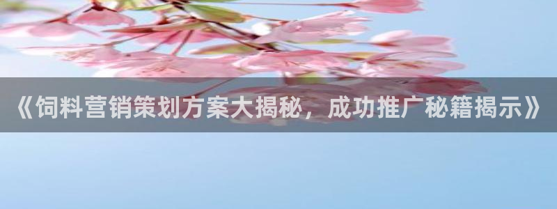 必赢国际是什么