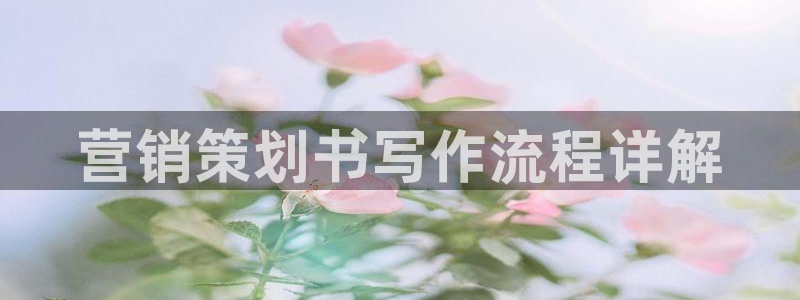 9965必赢苹果下载
