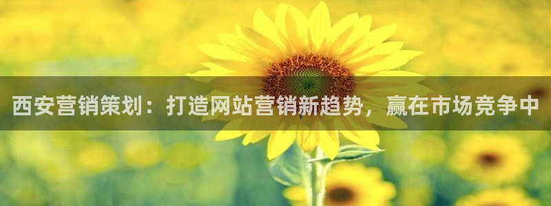 必赢平台网