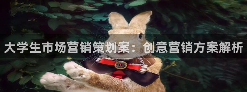 必赢手机app下载