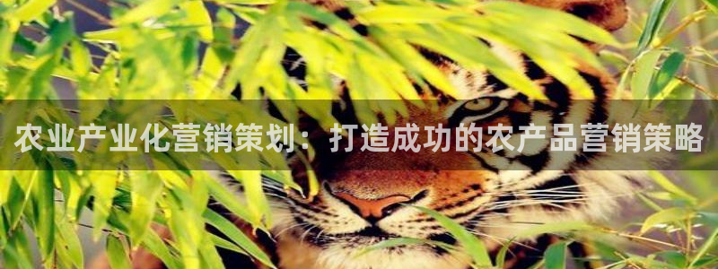 必赢国际437官网版