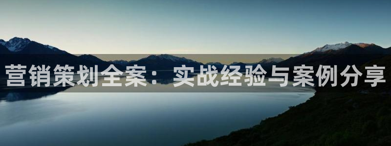必赢平台电子
