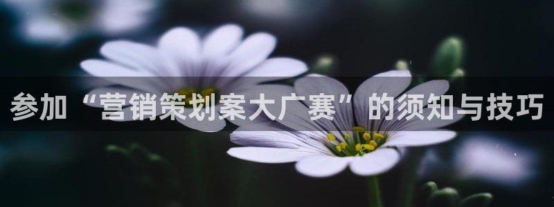 必赢国际437官方简介