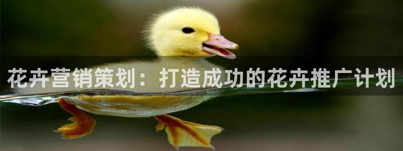 必赢集团网站改成多少
