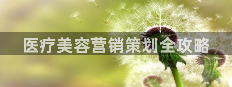 必赢平台怎么样