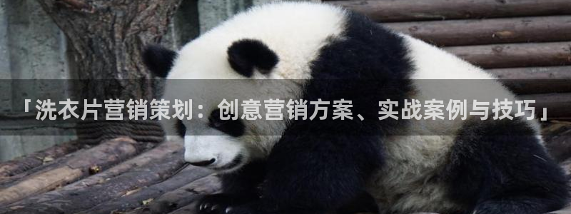 必赢官网app下载安装苹果版