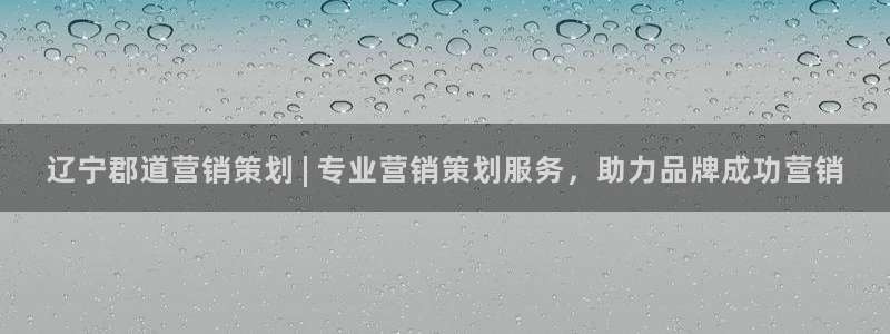 必赢3003平台