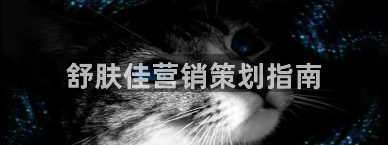 必赢宝app软件下载