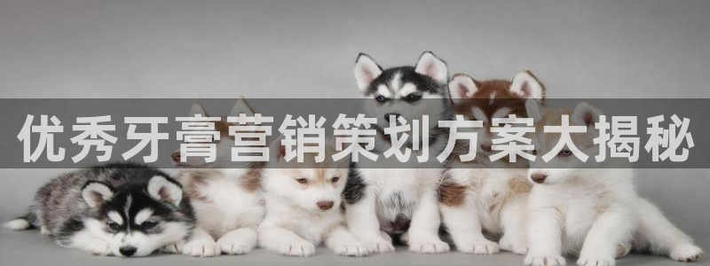 必赢手机app下载 最新版安装