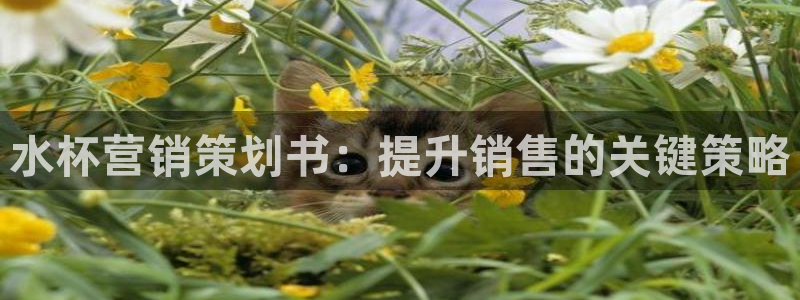 必赢官网网站入口网址