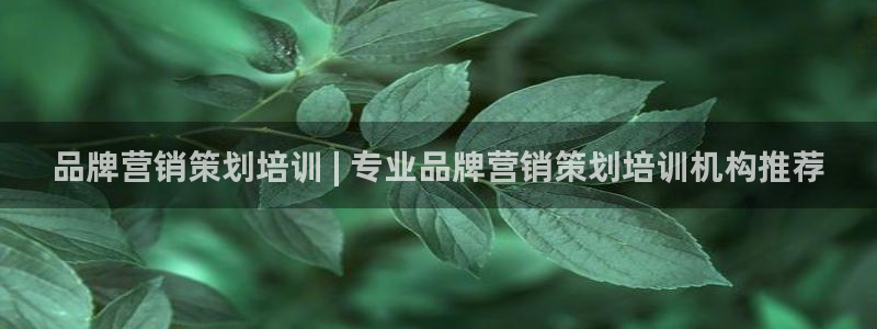 必赢宝是不是合法平台