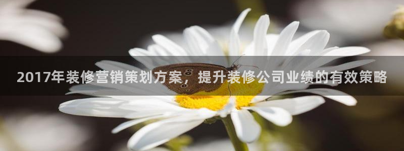 必赢最新网页