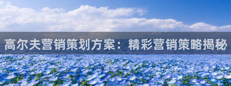 必赢集团怎么样