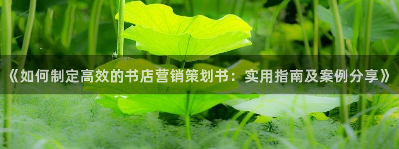 必赢3003+会员账号