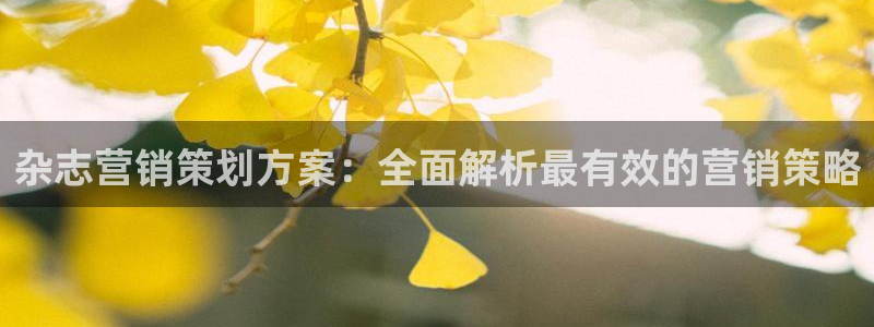 必赢7231