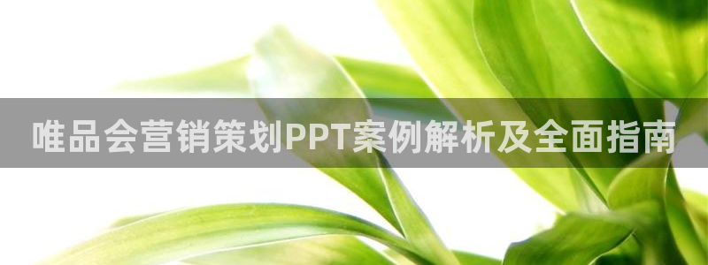 必赢3003平台