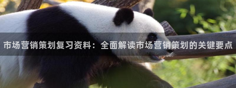 必赢官网网站首页下载