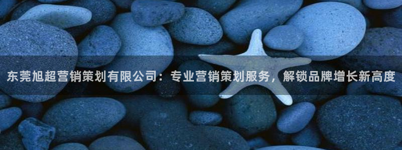 必赢官网网站入口网址