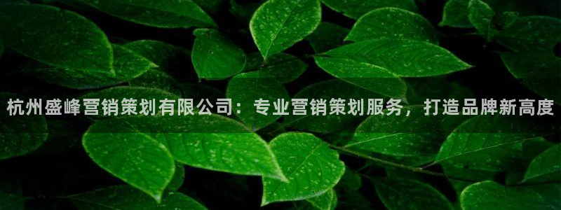 必赢棋盘app下载