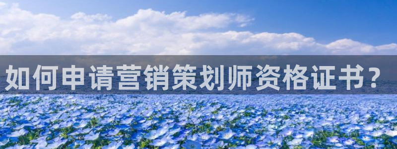 必赢亚赢网站官网下载安装