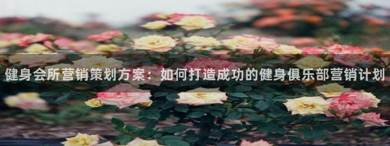 必赢官网app下载安装苹果版