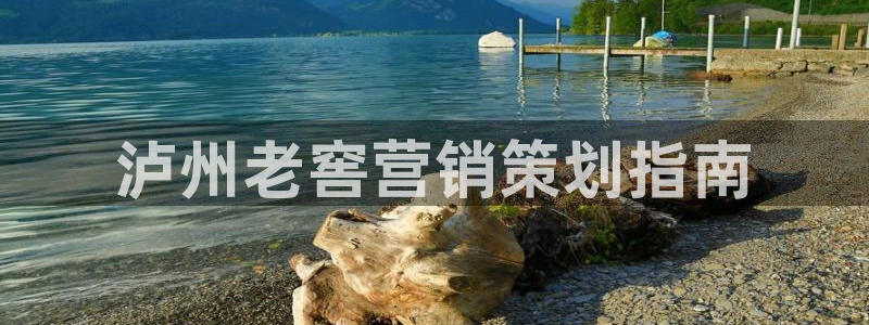 必赢国际游戏技巧