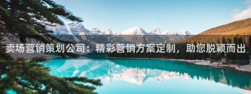 必赢网站是哪一个公司的