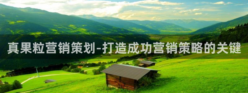 必赢活动安卓下载app