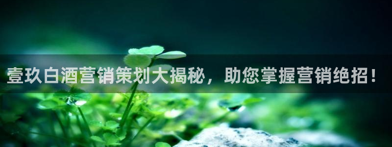 必赢平台网站多少