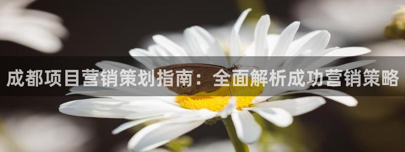 必赢565net官网