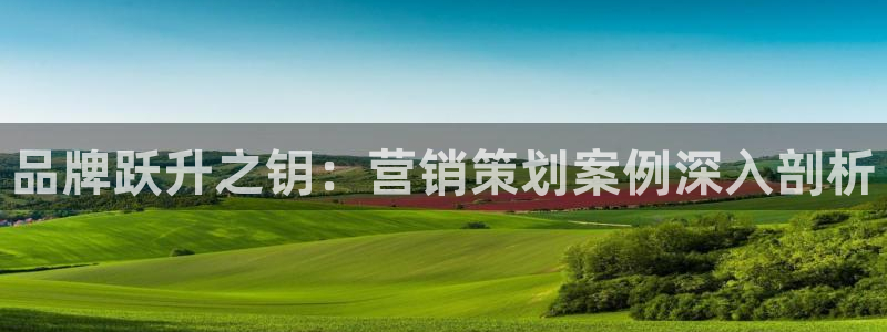 必赢官网app下载安装