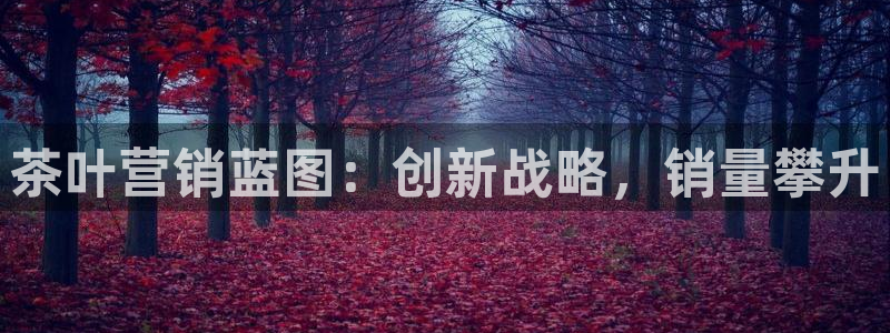 必赢平台怎么样知乎