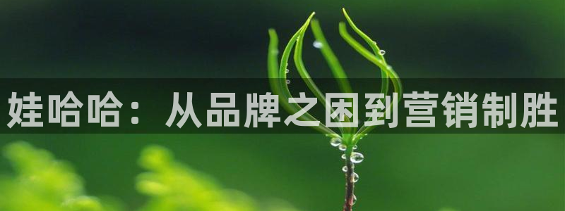 必赢3003平台