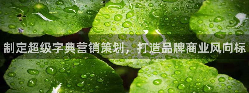 必赢最新网页