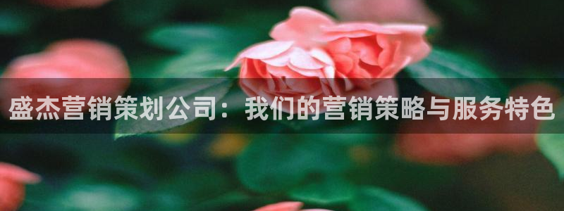 必赢手机app下载最新版本安装
