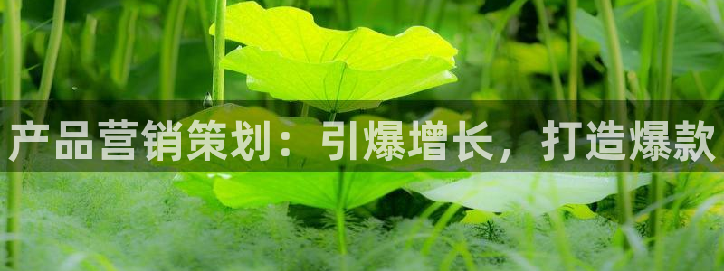 必赢3003平台