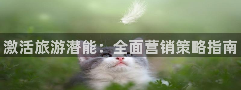 必赢国际是什么