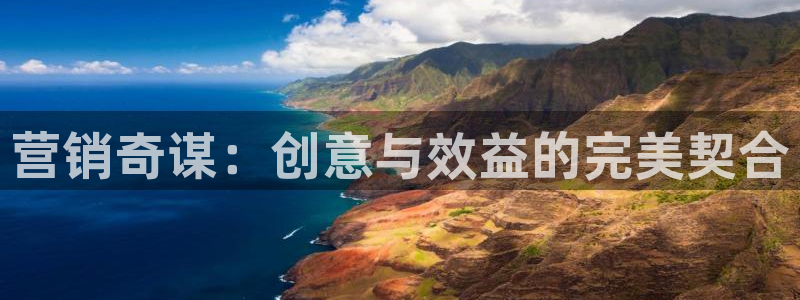 必赢网怎么打不开了呀