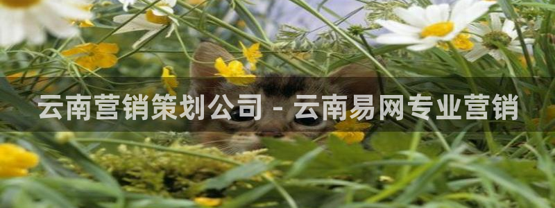 必赢3003+会员账号