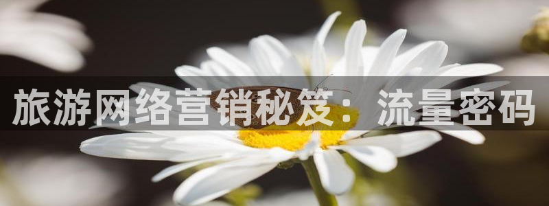 必赢国际苹果怎么下载