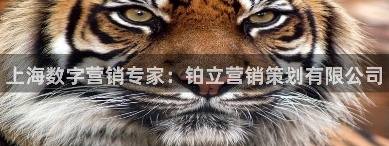 必赢app能挣钱吗