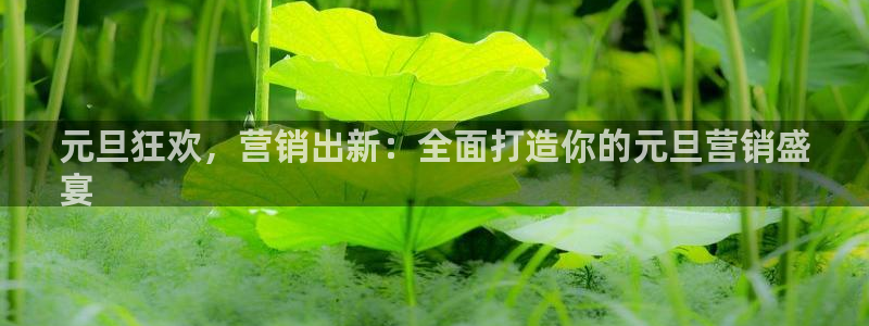 必赢平台网
