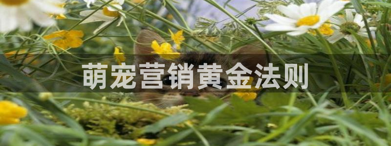 必赢官网app下载安装最新版本