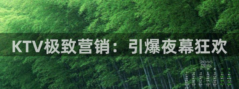 必赢最新