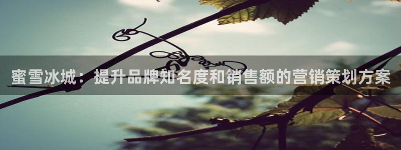 必赢72886后面字母是多少