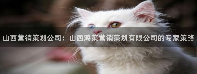 必赢net.95